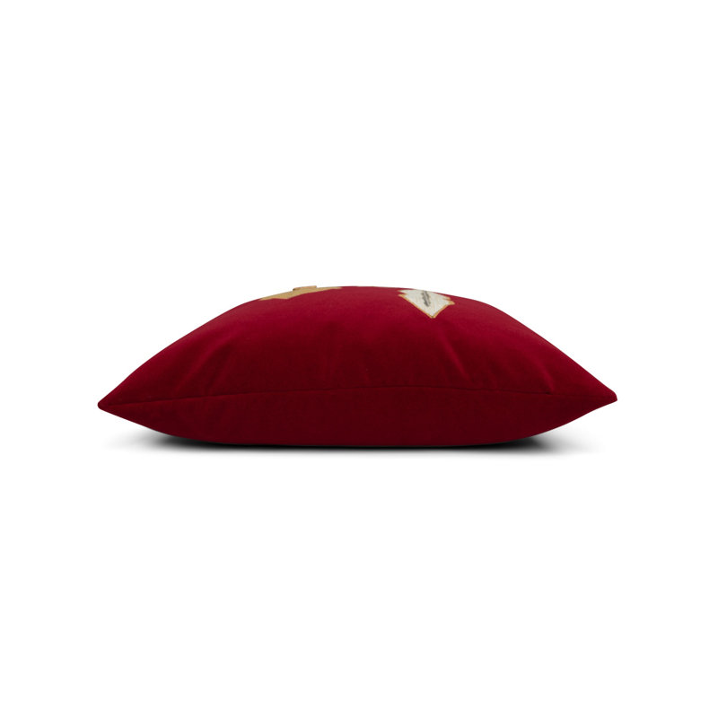 Holiday Square Indoor/Outdoor Pillow Cover & Insert, Ruby