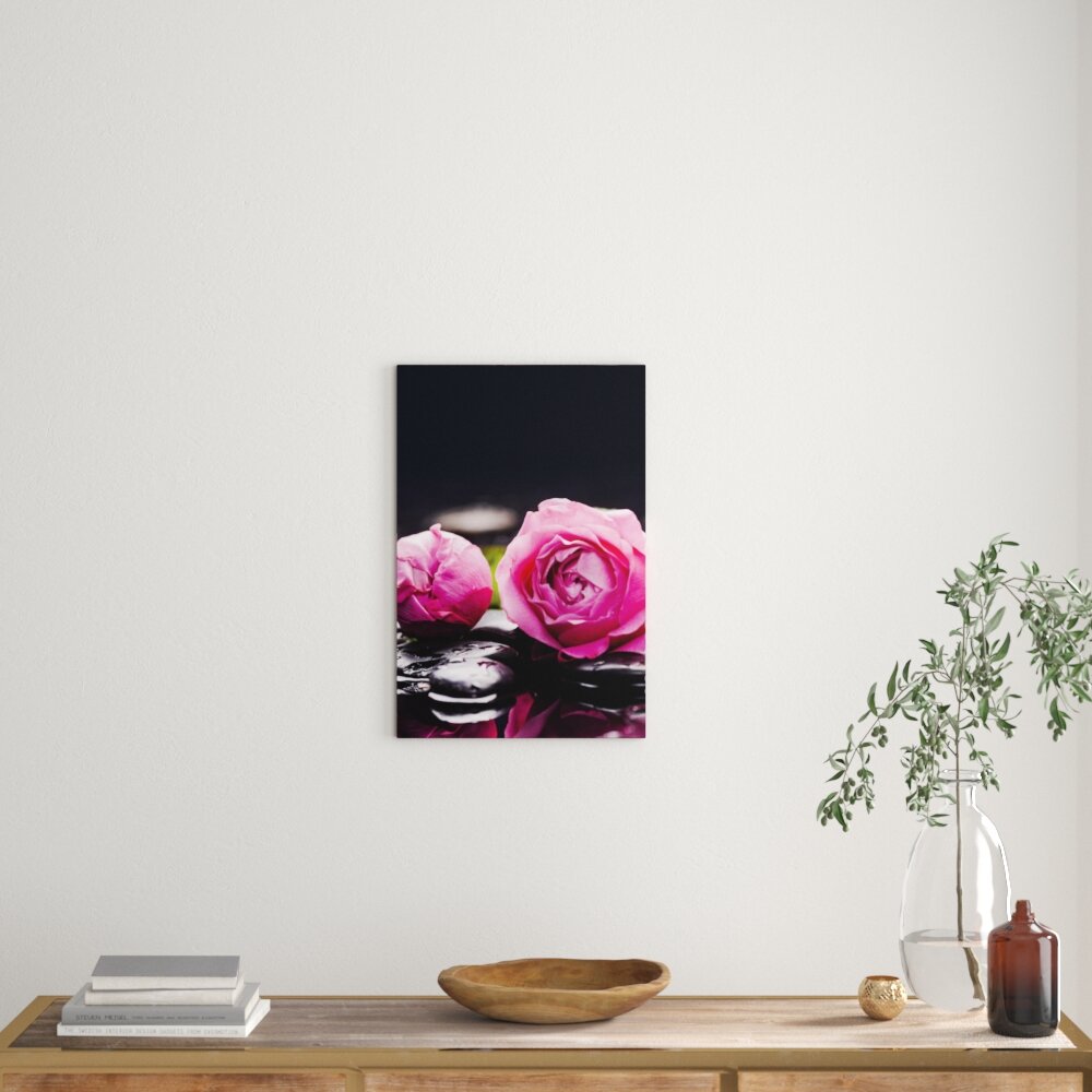 Leinwandbild Rosa Rosenblüte schwarzer Hintergrund, Fotodruck