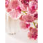 Fiori Orchid Arrangement
