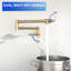Pot Filler Faucet - Wall Mount Kitchen Sink Faucet Folding Stretchable With Single Hole Two Handles-116628540
