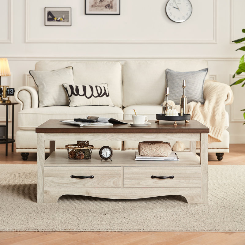 Table basse avec rangement Hulett, Brun / Blanc