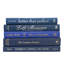 Modern Denim & Gold Book Stack, S/5