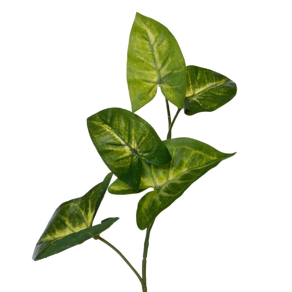 72" Syngonium No Holiday Garland