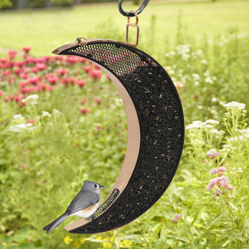 Mangeoire à oiseaux en cuivre au-dessus de la lune, avec panneaux en maille noire en acier inoxydable