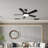 Ceiling Fan with LED Lights