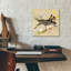 "Papier peint sauterelle" par Dean Russo-1242707675