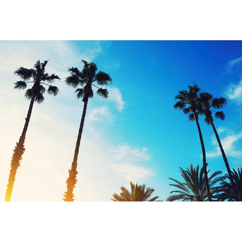 Lush Palm Trees by GaudiLab - Wrapped Canvas Print, 30cm H x 46cm W x 3.8cm D
