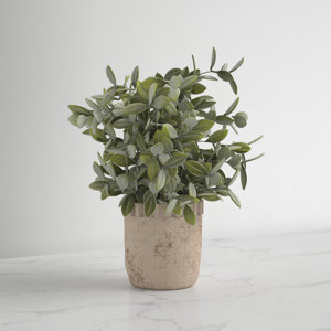 10.25" Artificial Eucalyptus Plant in Pot