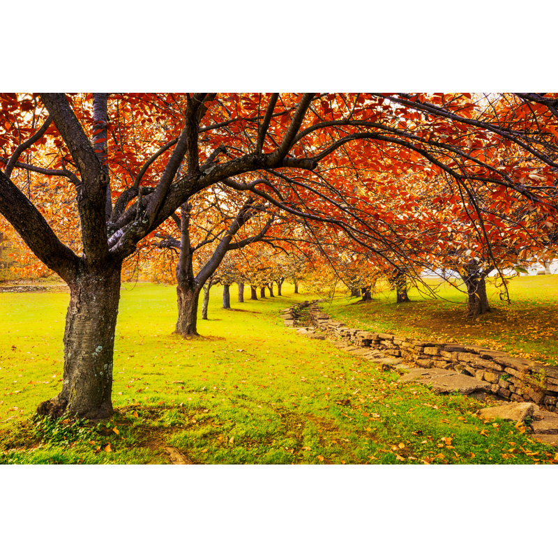 Autumn In Hurd Park, Dover, NJ by Ultima_Gaina - Wrapped Canvas Print, 81.28cm H x 121.92cm W