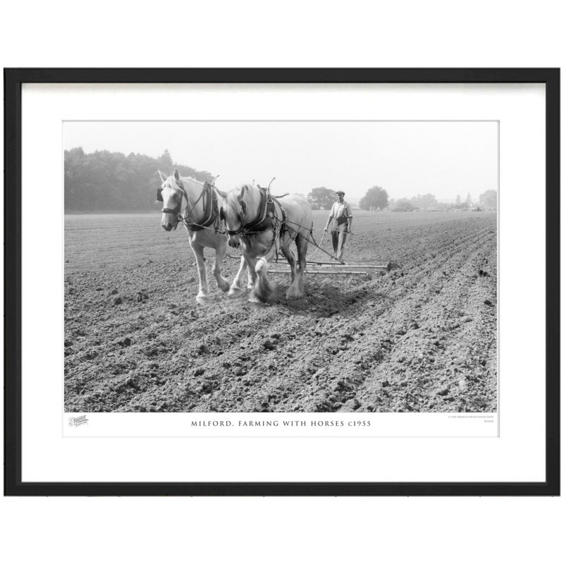 Milford, Farming With Horses C1955 by Francis Frith - Single Picture Frame Print, 40cm H x 50cm W x 2.3cm D