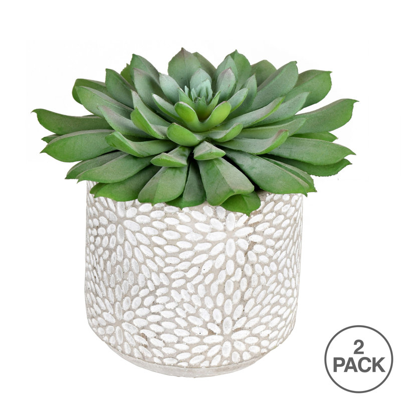 6'' Faux Succulent in Cement Pot