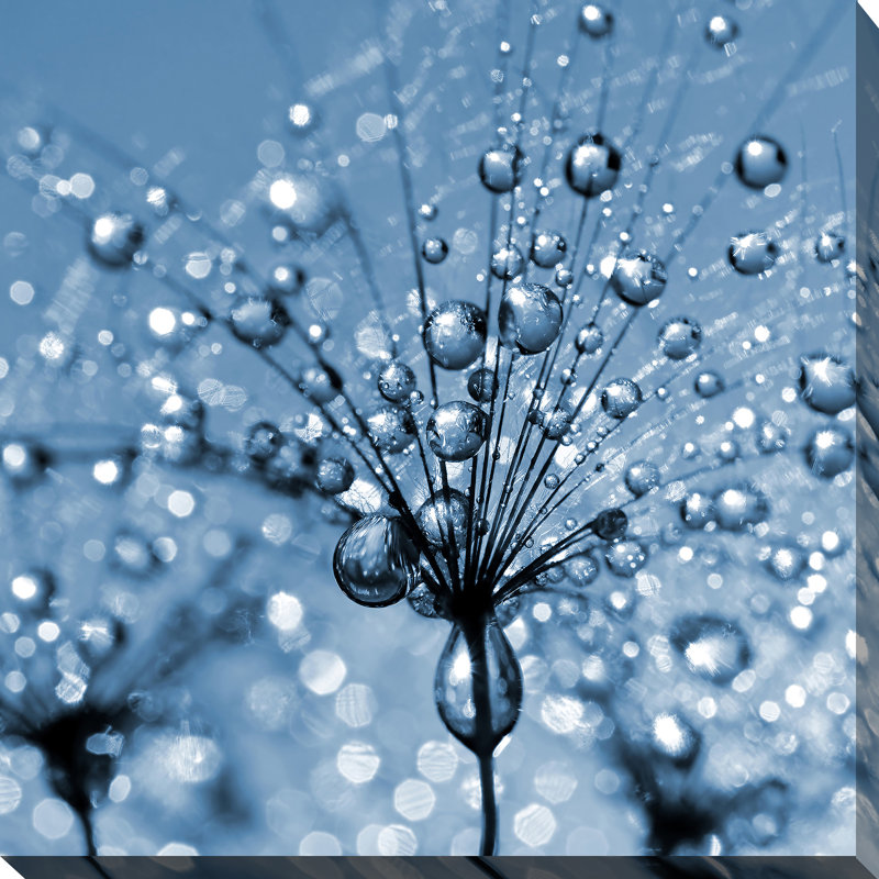 « pissenlit fleur close up », reproduction de photo sur toile tendue, H 18" x l 18" x P 1"