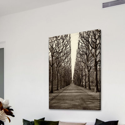 « tree alley » par jody stuart, reproduction d’art sur toile tendue