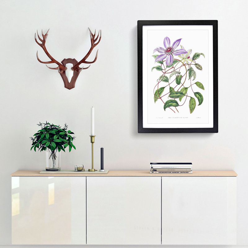 Violet Clematis Flowers - Picture Frame Painting Print, Black Framed, 65cm H x 48cm W x 2cm D