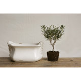 Mcfarland Decorative Terra-cotta Cache Pot