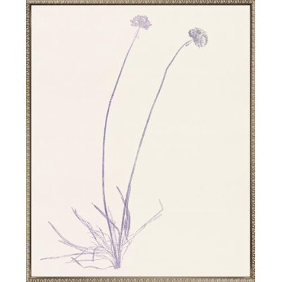 Floral Trace IV Canvas Wall Art