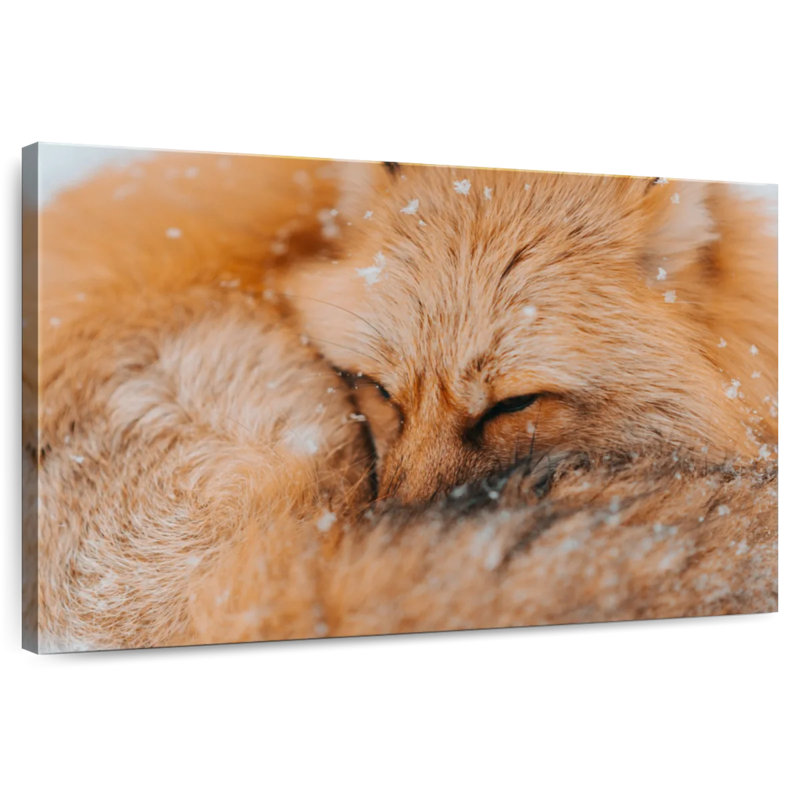 Renard moelleux Brampt, H 34 po x l 51 po
