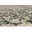 Tapis gris / ivoire Donna-30029622