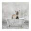 «Baby Zebra Bath Time Cute Animal» par - Impression d'art graphique-1926364529-1926364542