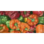 «A lot of peppers - Still Life», reproduction d'art encadrée