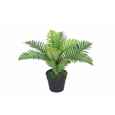 Faux Palm Plant in Pot
