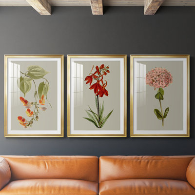 Botanical Array VI  -Custom Framed  Premium Print W Matt - 3 Pieces