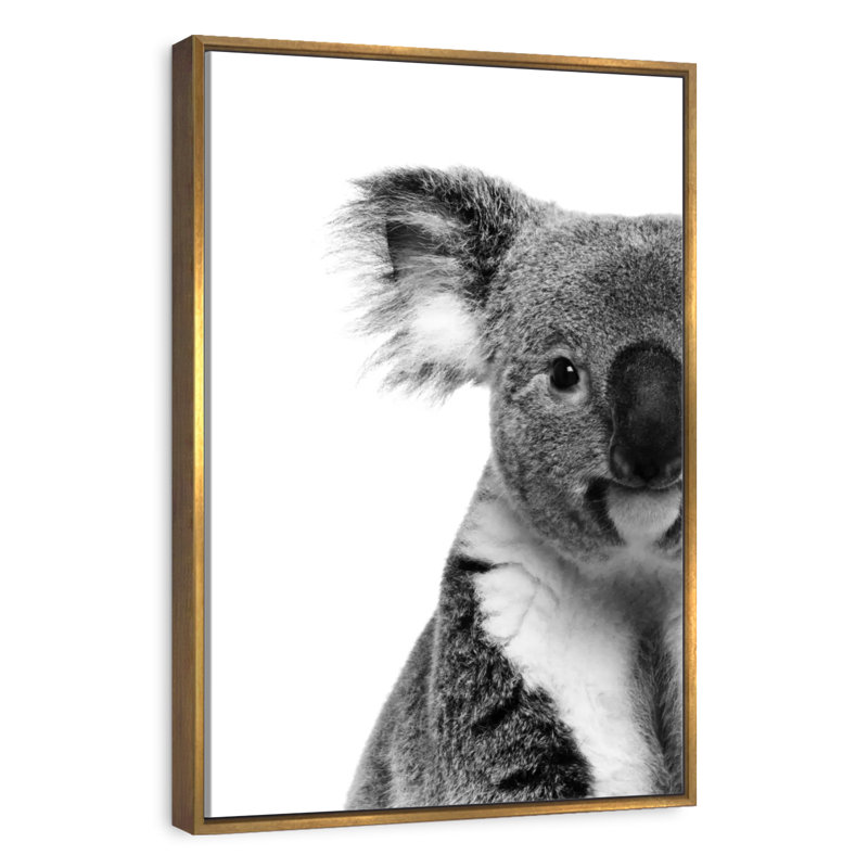 Lovable Koala Bear, 9" x 13", Floating Frame Gold