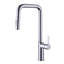 Belfry Kitchen Whitchurch Pull Out Kitchen Faucet-643181154