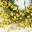 Couronne de 22 po pour porte de forsythia