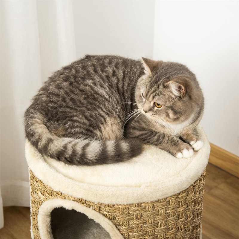 177.8cm H Cat Tree