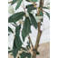 Faux olivier en pot Dore-1422237756