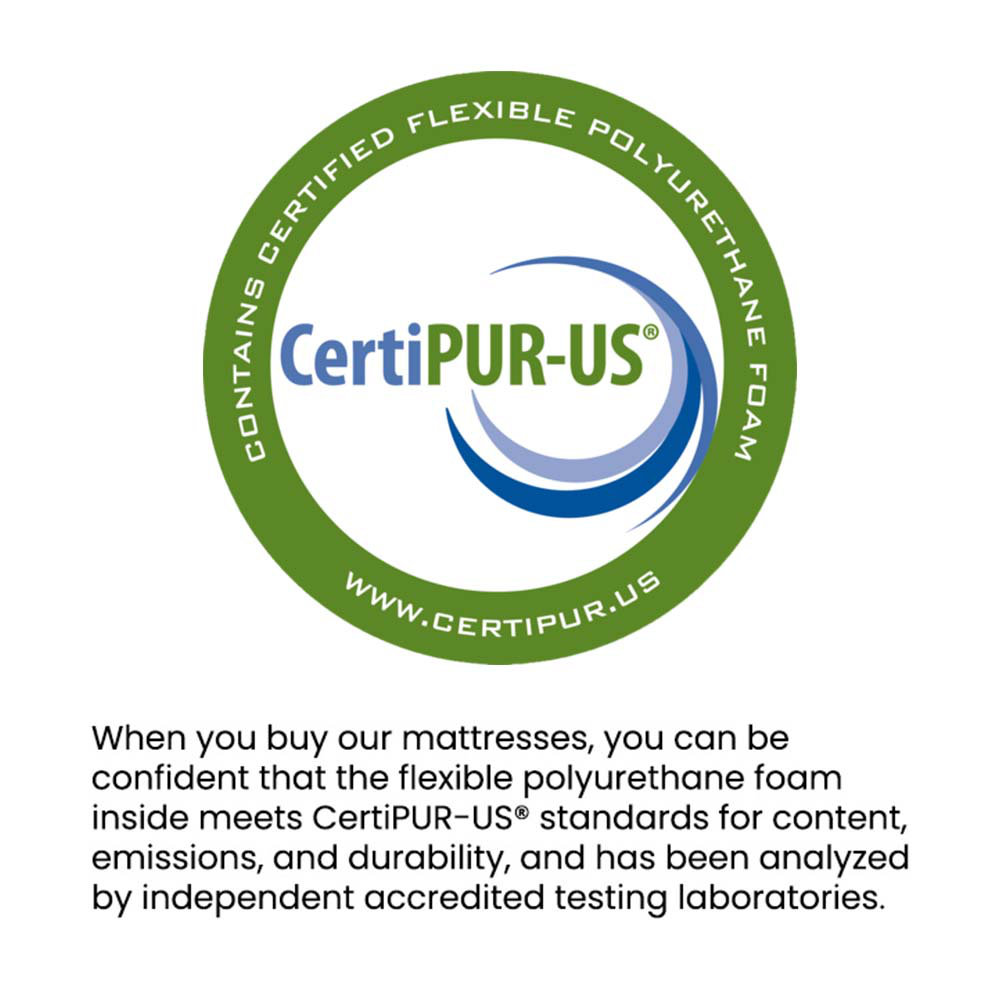 Freeport Park® Ethridge CertiPurUS Certified 12 Inch High Density Foam