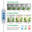 Naomi Grow Light