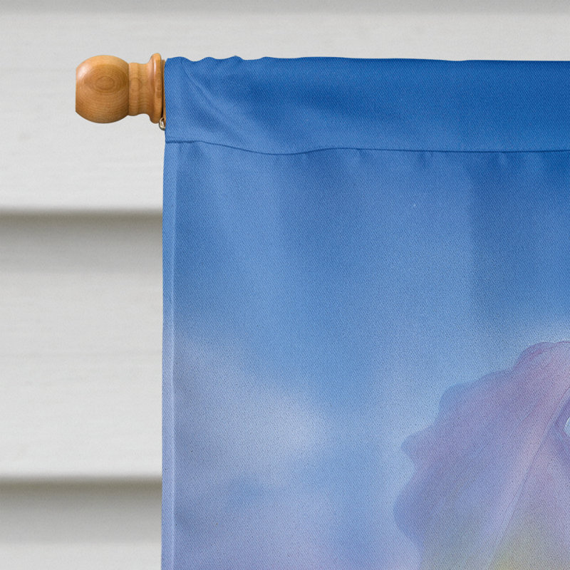 Drapeau de jardin 2 côtés berger, H 28 po x l 40 po