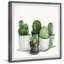 Pointy Spikes Succulents by Parvez Taj - Single Picture Frame Painting-1208013307