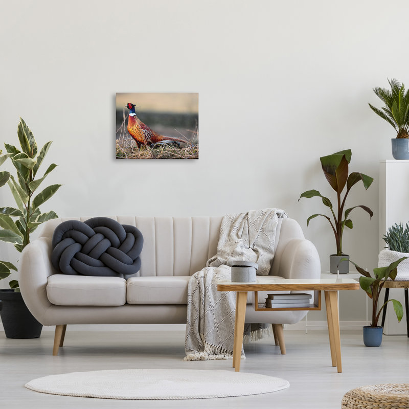 «Lone Pheasant Bird Grassy Forest Floor Wildlife» par James Dobson - photographie, Toile tendue, H 16 po x l 20 po x P 1,5 po