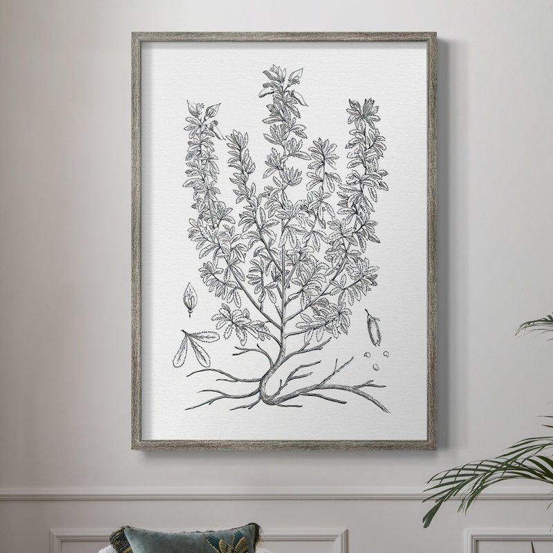 «B&W Plant Speciment», reproduction encadrée - bois massif, H 11 po x l 9 po