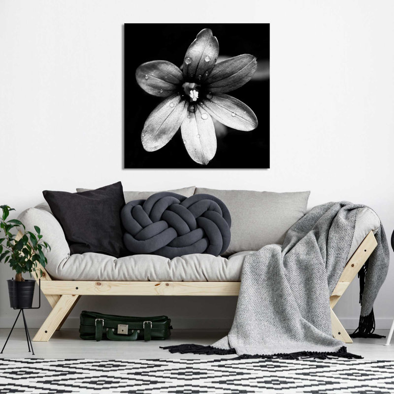 " Black And White Bloom I ", 18" H x 18" W x 1" D, Wrapped Canvas