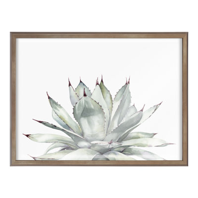 Parrys Agave by Emily Marie Watercolors Framed Glass Wall Art
