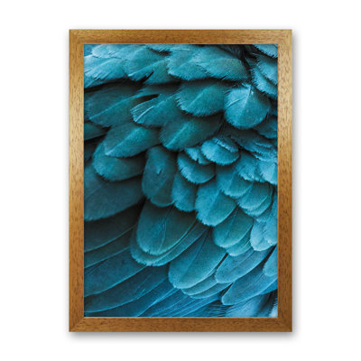 Blue Feathers 1 Piece Wall Art