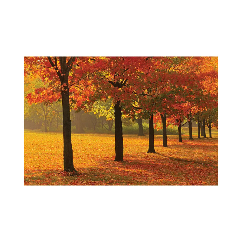 Canada, Ontario, Guelph. Sugar Maple Trees In Autumn. - Wrapped Canvas Painting