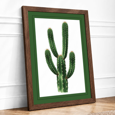 Saguaro Specimen Botanical - Framed Print