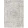 Oriental Indoor Rug