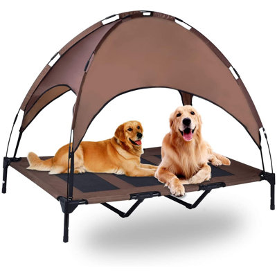Dog House