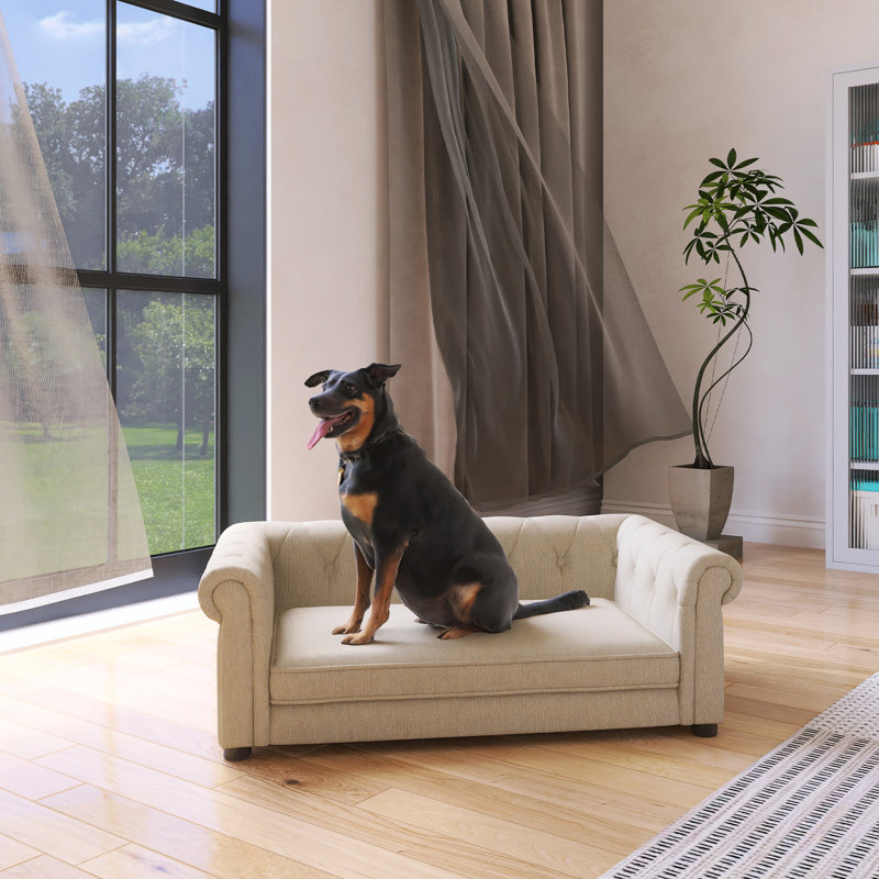Lit pour chien élégant et rectangulaire pour petits et moyens chiens, Beige