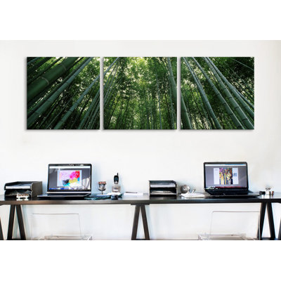 " Bamboo " 3 - Pieces