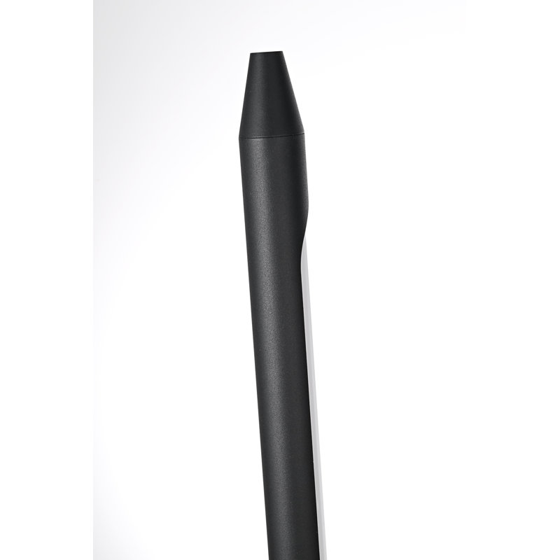 Omarie Outdoor Wall Sconce in Black