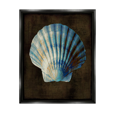 Bb-352-Floater " Dark Clam Shell "