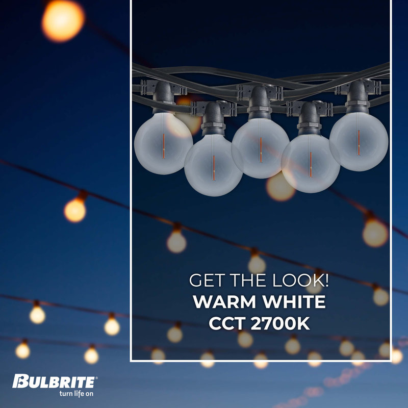Outdoor 10 - Bulb 168'' Plug-in String Light