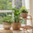 Marnie Pot Planter 3-Piece Set